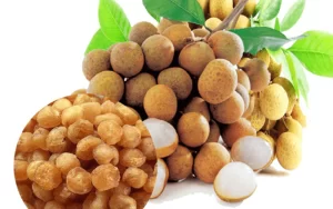 Hút chân không long nhãn sấy khô uy tín, số 1 Hà Nội
