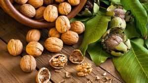 Hút chân không hạt óc chó tại Hà Nội