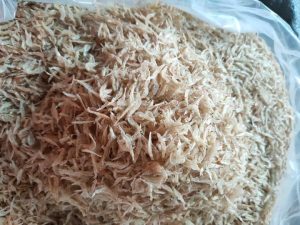 Hút chân không tép khô tại quận Đống Đa - Hà Nội