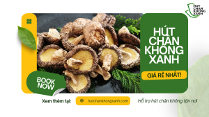 Dịch vụ hút chân không nấm hương gửi đi nước ngoài tại Hút Chân Không Xanh