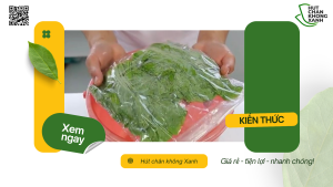 Rau xanh hút chân không để được bao lâu ?