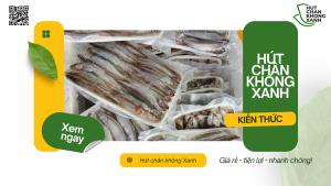 Dịch vụ hút chân không cá khô gửi đi nước ngoài tại HCKX