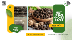 Dịch vụ hút chân không tiêu đen gửi đi nước ngoài