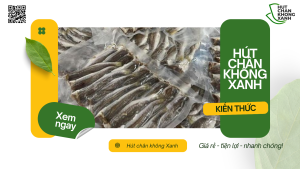 Cẩm nang bảo quản cá khô hiệu quả