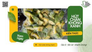 Cách Bảo Quản Bơ Tươi Thời Gian Lâu Dài Hiệu Quả