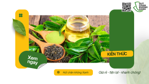 Dịch vụ hút chân không trà tại Hút Chân Không Xanh