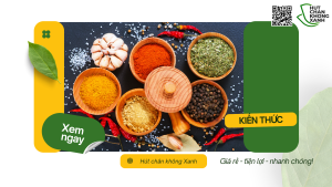 Hút chân không gia vị và vận chuyển quốc tế tại Hút chân không xanh