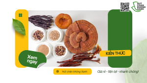Dịch vụ hút chân không nấm linh chi và vận chuyển quốc tế