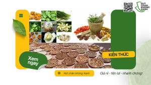 Dịch Vụ Hút Chân Không Lá Thuốc Nam Và Vận Chuyển Quốc Tế Tại Hút Chân Không Xanh