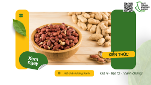 Dịch vụ hút chân không hạt đậu phộng tại Bình Dương