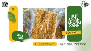 Dịch Vụ Hút Chân Không Chà Bông Tại Hút Chân Không Xanh