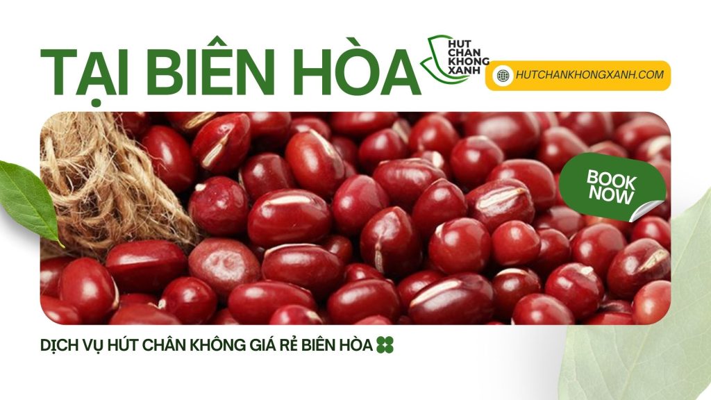 Hút Chân Không Đậu Đỏ Số 1 Biên Hòa