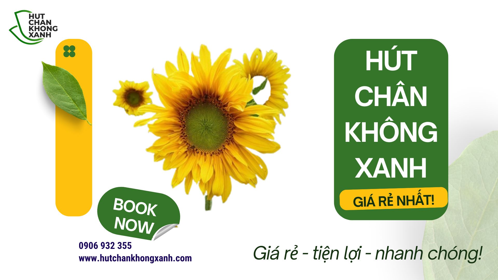 Hạt Giống Hướng Dương Hút Chân Không Tại Biên Hòa