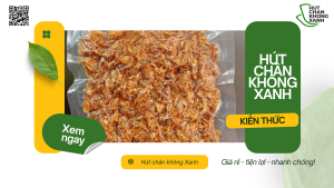 Dịch Vụ Hút Chân Không Hành Khô Tại Hút Chân Không Xanh