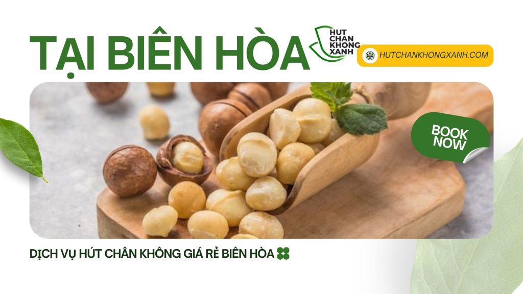 Hạt Macadamia Hút Chân Không Top 1 Tại Biên Hòa