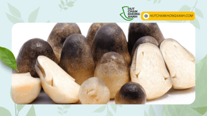 Dịch vụ hút chân không nấm rơm tại TP. HCM