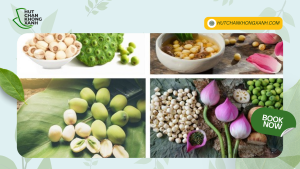 Dịch Vụ Hút Chân Không Hạt Sen Tại TP. HCM – Giải Pháp Bảo Quản Hương Vị Tự Nhiên