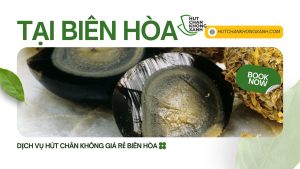 Trứng Bắc Thảo Hút Chân Không Top 1 Chất Lượng Biên Hòa