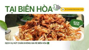 Ghẹ Sữa Hút Chân Không An Toàn Số 1 Biên Hòa