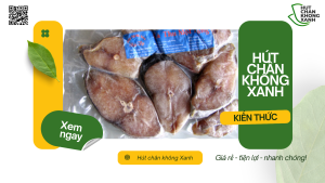 Dịch Vụ Hút Chân Không Cá Tươi Sống Tại Hút Chân Không Xanh
