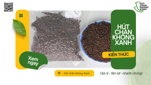 Dịch Vụ Hút Chân Không Tiêu Khô Tại Đà Nẵng