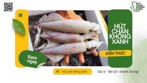 Dịch Vụ Hút Chân Không Mực Tươi Tại Hút Chân Không Xanh
