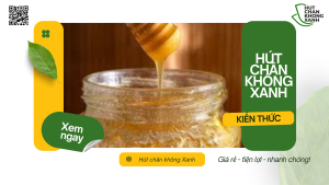 Dịch Vụ Hút Chân Không Mật Ong Chai Tại Hút Chân Không Xanh