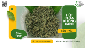 Dịch Vụ Hút Chân Không Lá Vối Tại Hút Chân Không Xanh