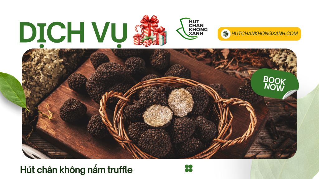 nấm truffle nấm truffle nấm truffle