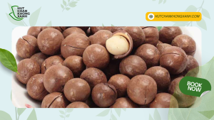 Dịch Vụ Hút Chân Không Hạt Mắc Ca Tại TP. HCM – Bảo Quản Hiệu Quả, Giữ Trọn Hương Vị