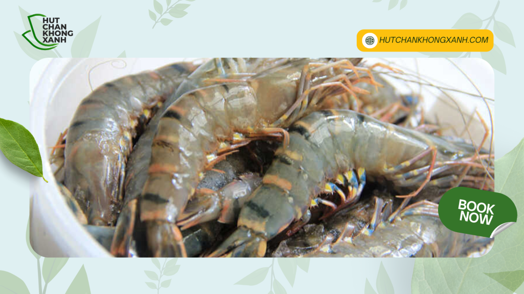 Dịch Vụ Hút Chân Không Tôm Tươi Tại TP. HCM