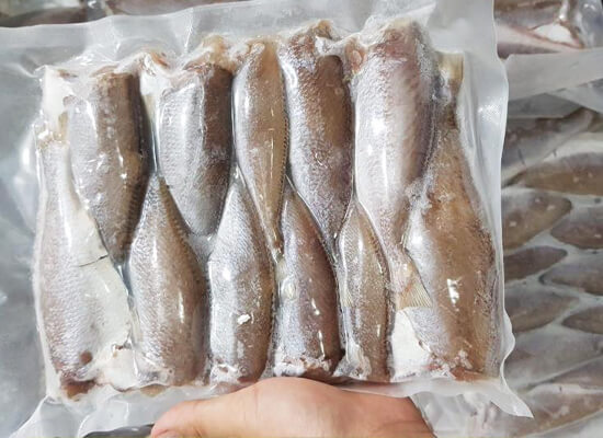 HÚT CHÂN KHÔNG CÁ MỘT NẮNG TẠI ĐÀ NẴNG- BẢO QUẢN LÂU DÀI