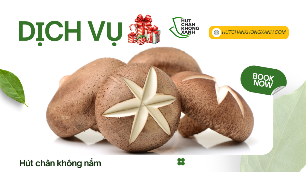 nấm