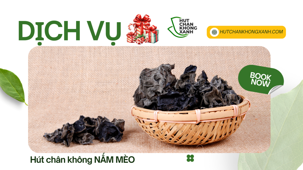 NẤM MÈO
