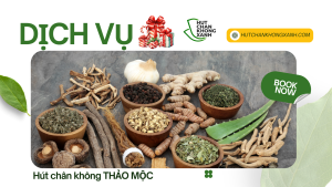 THẢO MỘC