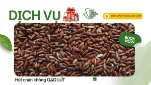 Dịch Vụ Hút Chân Không Gạo Lứt – Bảo Quản Tối Ưu, Giữ Trọn Dưỡng Chất