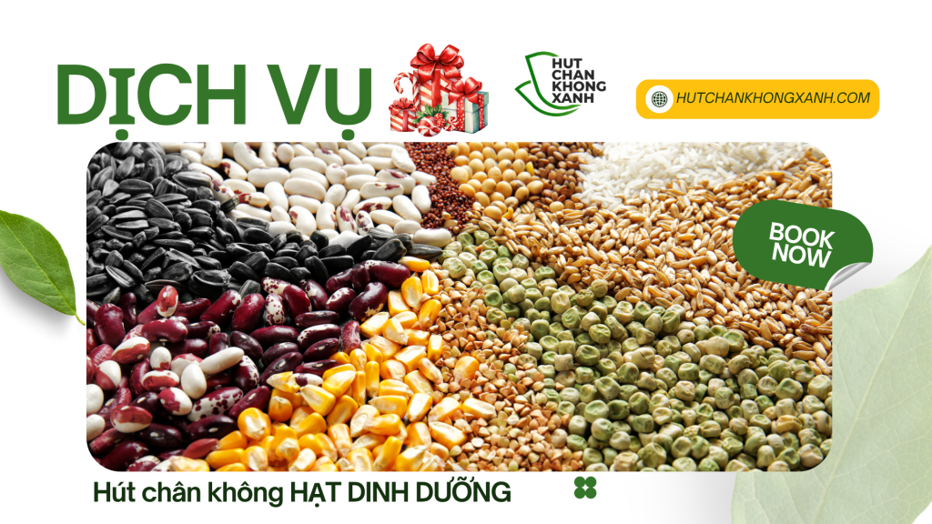 HẠT DINH DƯỠNG