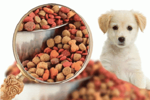 Dịch vụ hút chân không thức ăn khô cho thú cưng