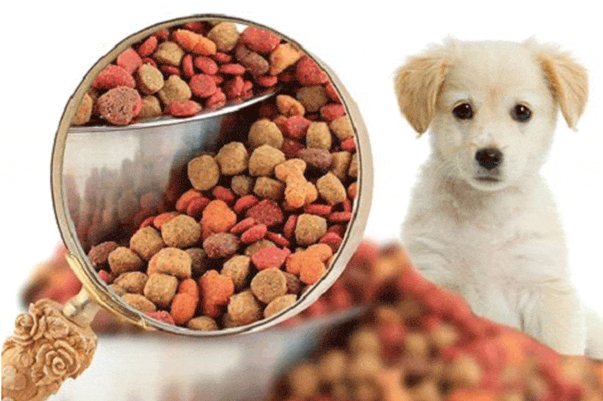 Dịch vụ hút chân không thức ăn khô cho thú cưng