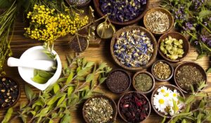 Dịch Vụ Hút Chân Không Mặt Hàng Khô Chuyên Nghiệp, Bảo Quản Hiệu Quả