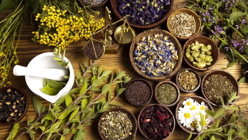 Hút chân không đông trùng hạ thảo để bảo quản và vận chuyển