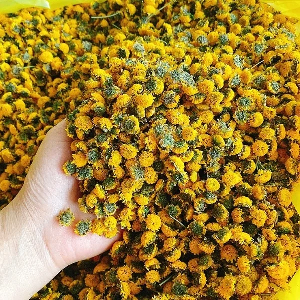 Hút chân không hoa cúc sấy giúp bảo quản hương thơm tự nhiên