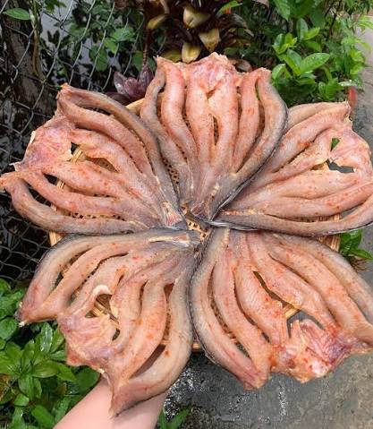 Hút Chân Không Khô Cá Lóc An Giang Gửi Đi Mỹ